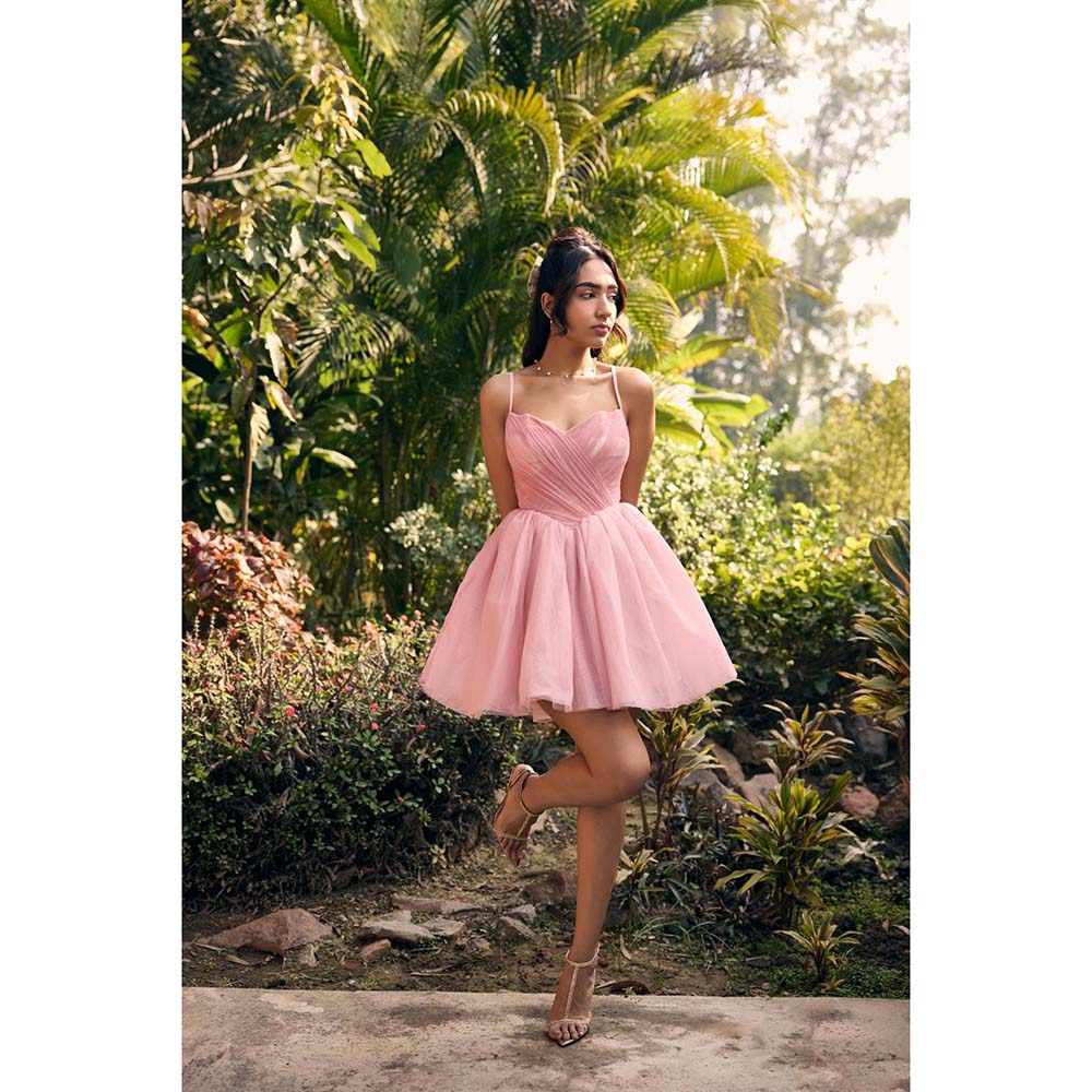 Lea Clothing Becca Baby Pink Mesh Mini Dress