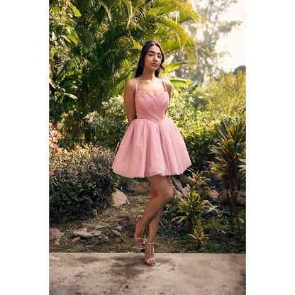 Lea Clothing Becca Baby Pink Mesh Mini Dress