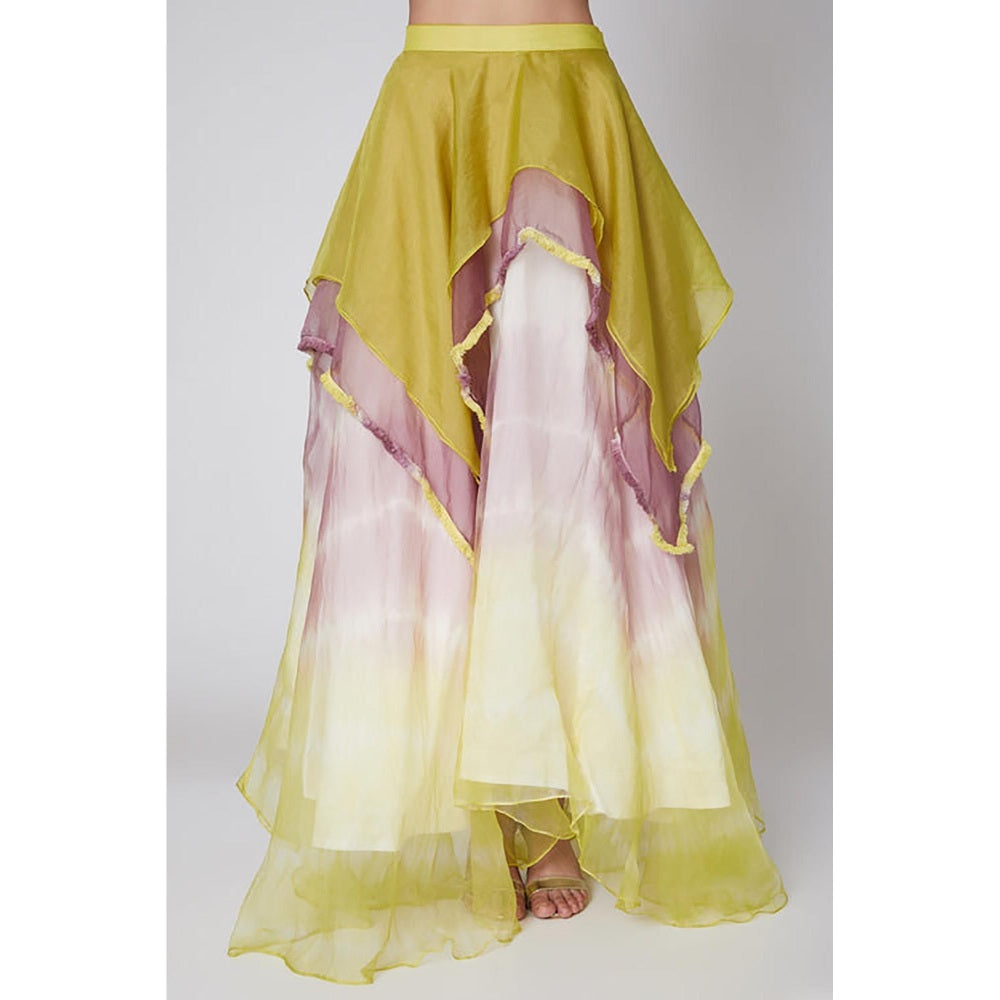 Leela by A Vibrant Applique Work And Tie-Dyed Draped Choli With Skirt