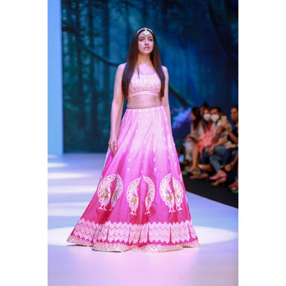 Leela by A Shaded Pink Lehenga With Choli