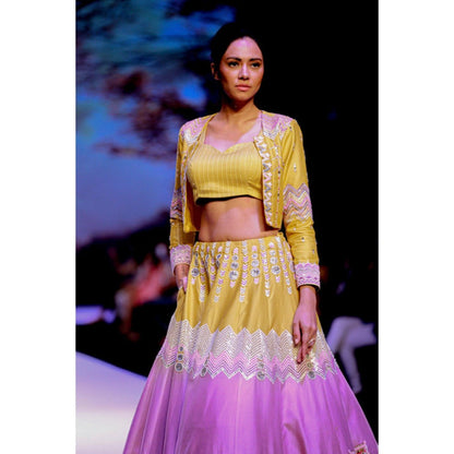 Leela by A The Month Lehenga With Choli And Jacket
