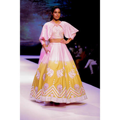 Leela by A Pink And Lime Green Shaded Hathi Lehenga With Blouse