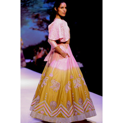 Leela by A Pink And Lime Green Shaded Hathi Lehenga With Blouse