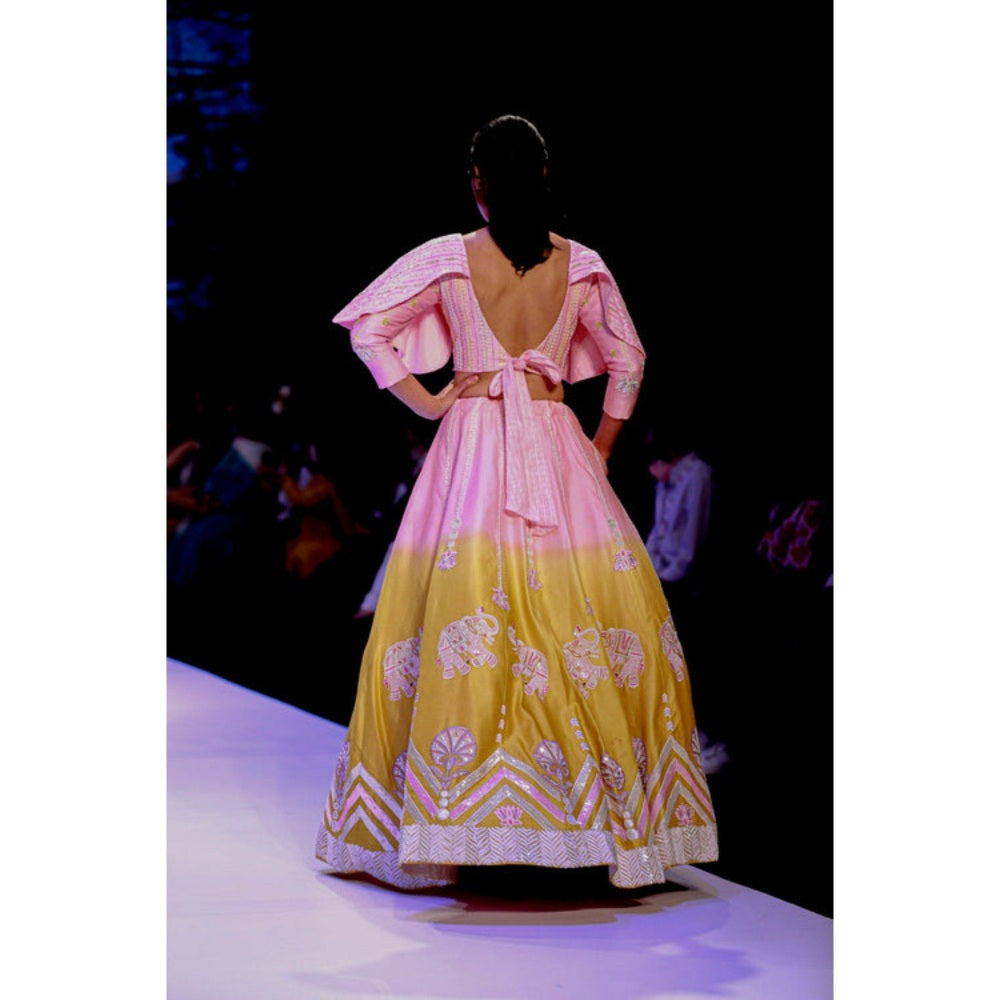 Leela by A Pink And Lime Green Shaded Hathi Lehenga With Blouse