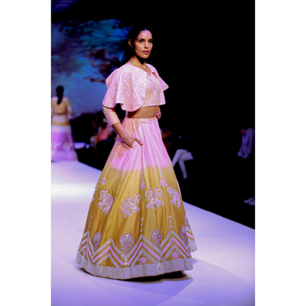 Leela by A Pink And Lime Green Shaded Hathi Lehenga With Blouse