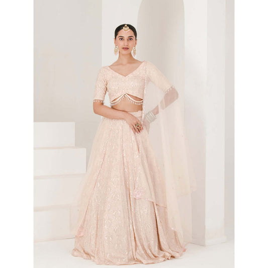 Maive Peach Chikankari Work Lehenga with Blouse and Dupatta (Set of 3)