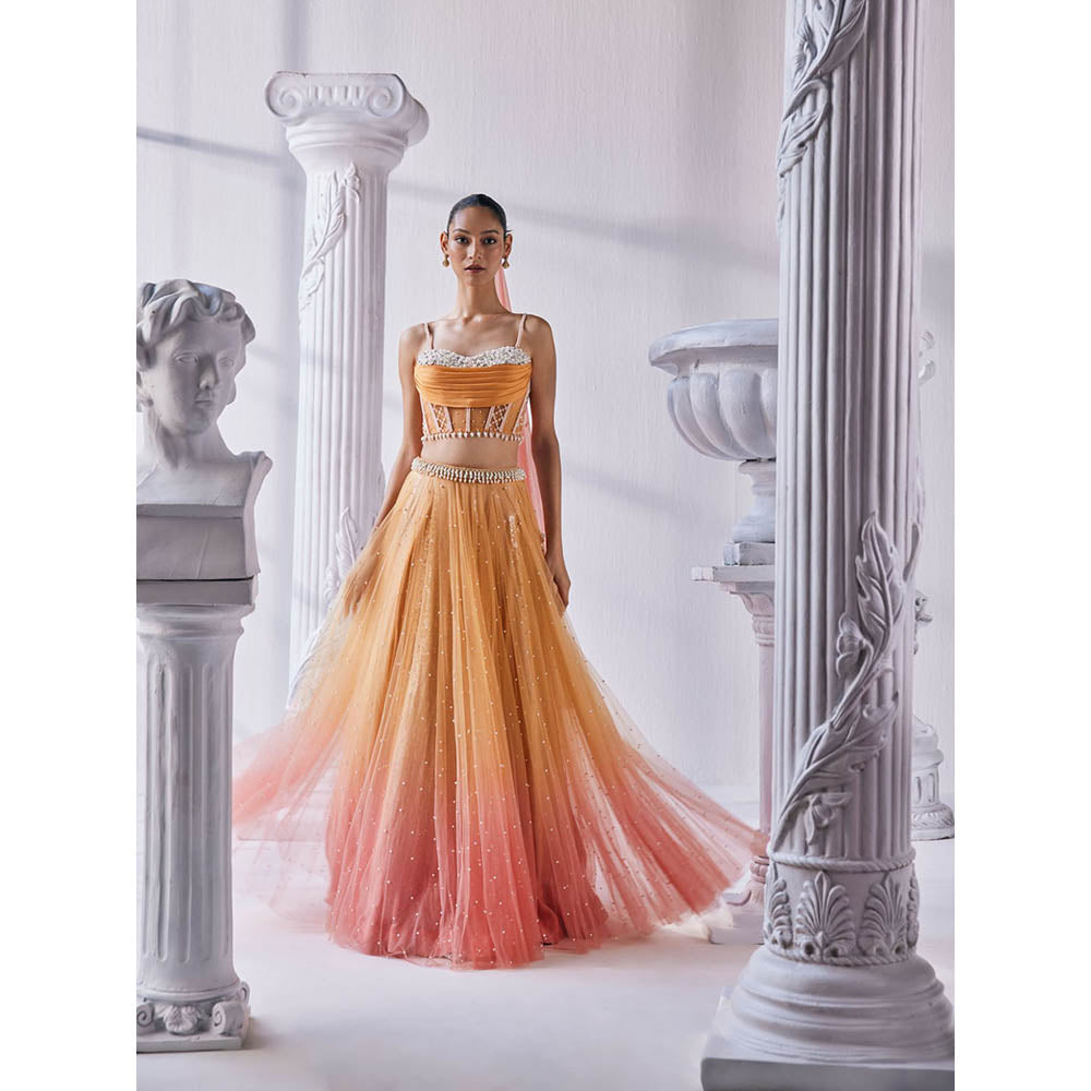 MANDIRA WIRK Ombre Top with Skirt (Set of 4)