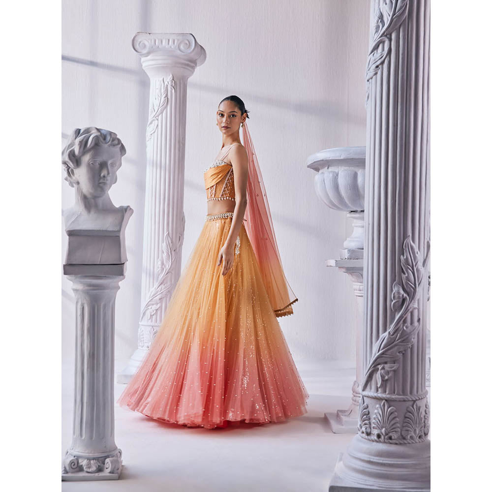 MANDIRA WIRK Ombre Top with Skirt (Set of 4)