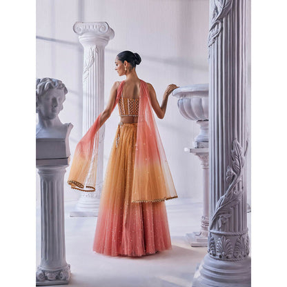 MANDIRA WIRK Ombre Top with Skirt (Set of 4)