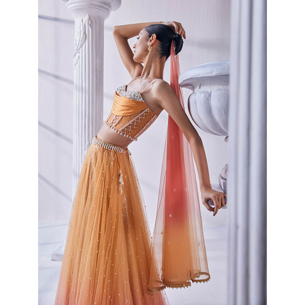 MANDIRA WIRK Ombre Top with Skirt (Set of 4)