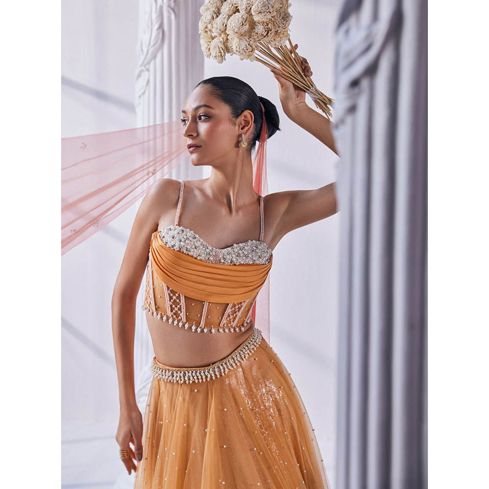 MANDIRA WIRK Ombre Top with Skirt (Set of 4)