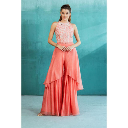 MANDIRA WIRK Women Chanderi Pink Top with Sharara