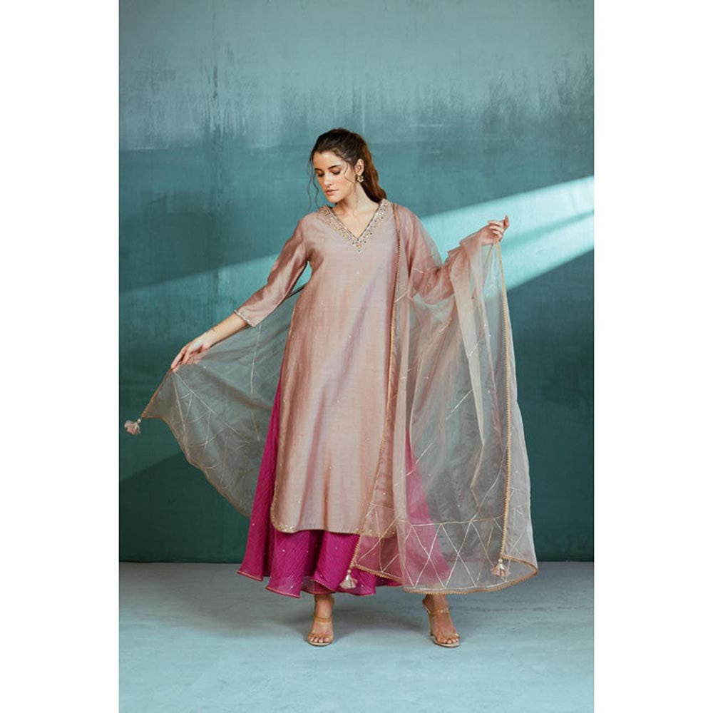 MANDIRA WIRK Women Chanderi Grey Kurta with Sharara and Dupatta
