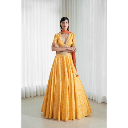 MANDIRA WIRK Lehenga Set With Printed Blouse