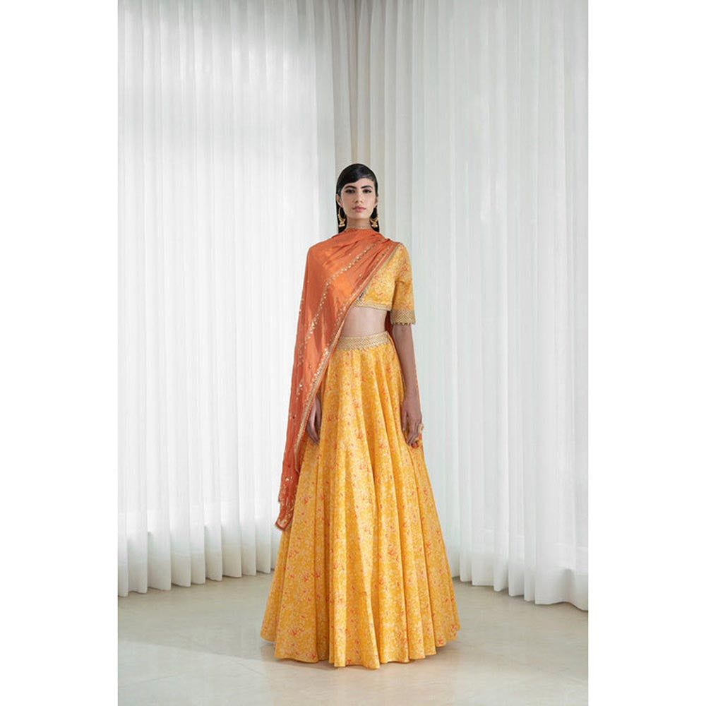 MANDIRA WIRK Lehenga Set With Printed Blouse