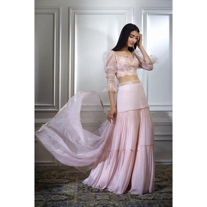 MANDIRA WIRK Soft Peach Dori Embroidered Lehenga With Blouse