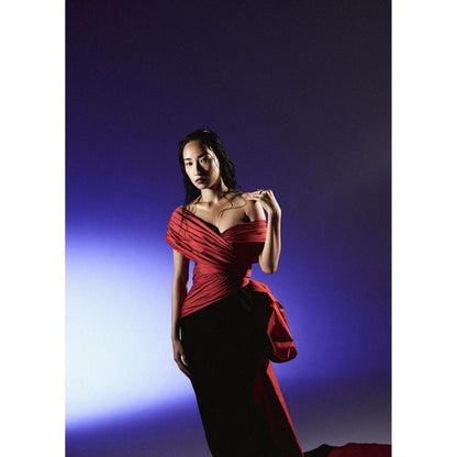 Manika Nanda Black Dual Tone Long Trumpet Gown