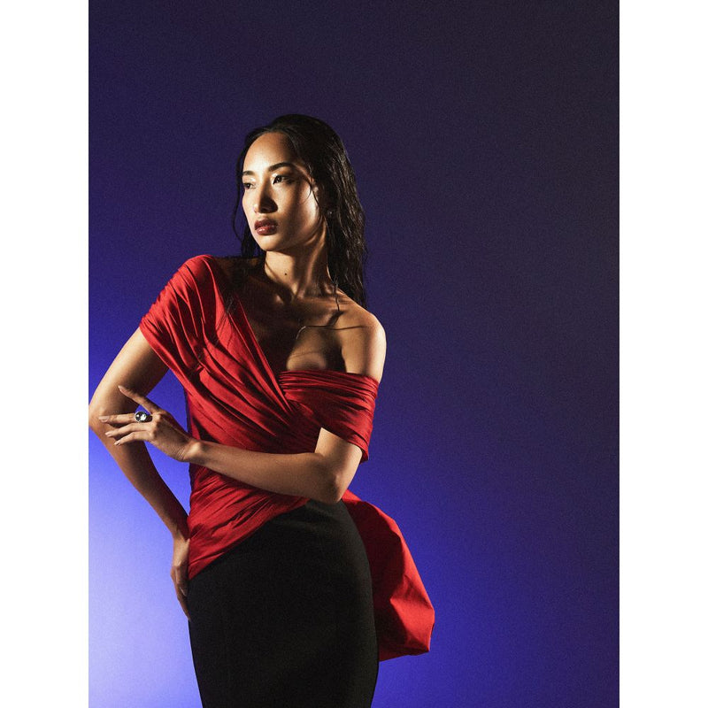 Manika Nanda Black Dual Tone Long Trumpet Gown