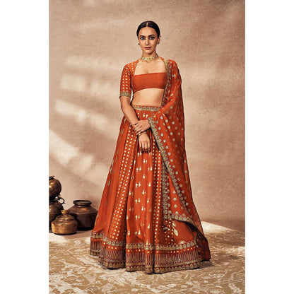 Masaba Rust Foil Lehenga with Blouse and Dupatta (Set of 3)