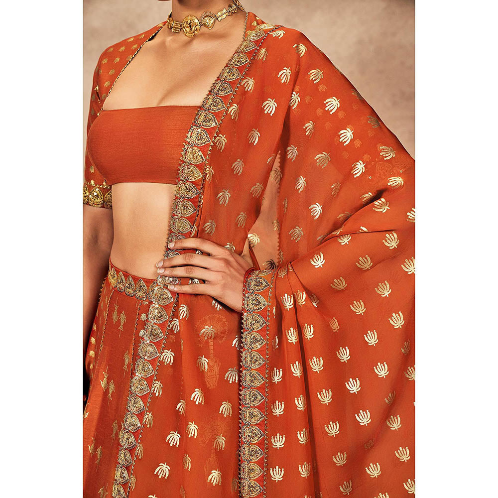 Masaba Rust Foil Lehenga with Blouse and Dupatta (Set of 3)