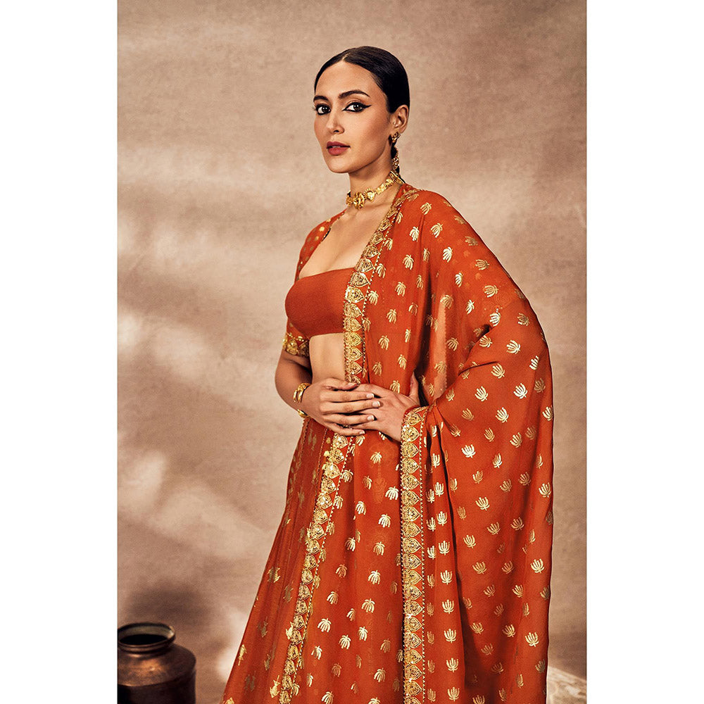 Masaba Rust Foil Lehenga with Blouse and Dupatta (Set of 3)