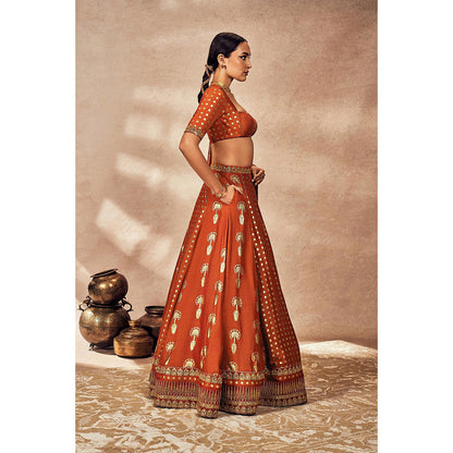 Masaba Rust Foil Lehenga with Blouse and Dupatta (Set of 3)
