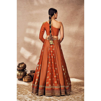 Masaba Rust Foil Lehenga with Blouse (Set of 2)