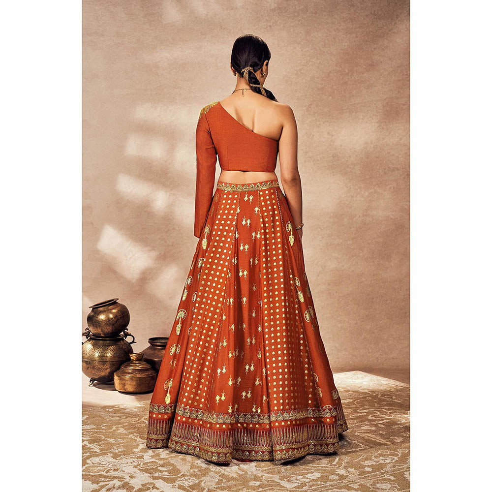 Masaba Rust Foil Lehenga with Blouse (Set of 2)