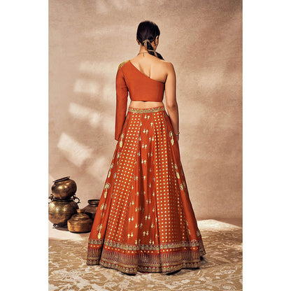 Masaba Rust Foil Lehenga with Blouse (Set of 2)
