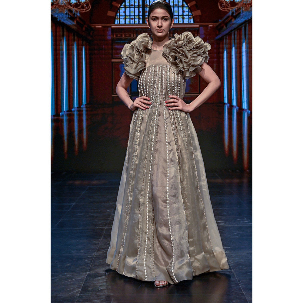 Masumi Mewawalla Chickoo Embroidered Gown with Jacket (Set of 2)