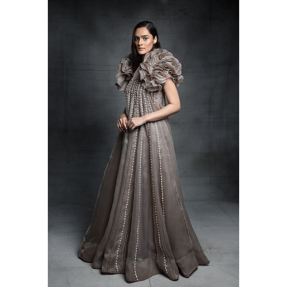 Masumi Mewawalla Chickoo Embroidered Gown with Jacket (Set of 2)