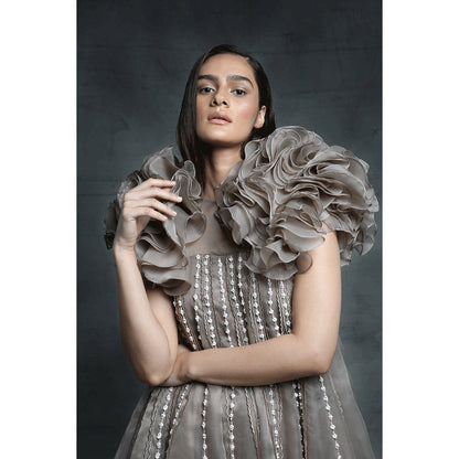 Masumi Mewawalla Chickoo Embroidered Gown with Jacket (Set of 2)