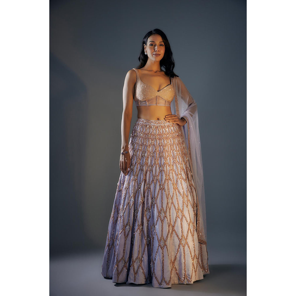 Masumi Mewawalla Ice Blue Embroidered Lehenga Set (Set of 3)