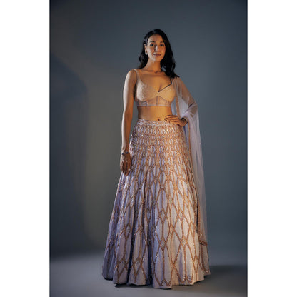 Masumi Mewawalla Ice Blue Embroidered Lehenga Set (Set of 3)