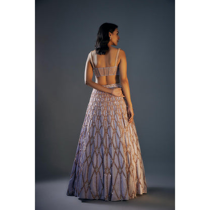 Masumi Mewawalla Ice Blue Embroidered Lehenga Set (Set of 3)