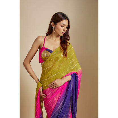 Masumi Mewawalla Multi-Colour Ombre Embroidered Saree with Stitched Blouse