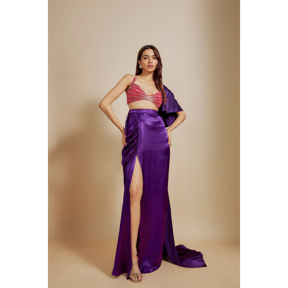 Masumi Mewawalla Purple Embroidered Skirt with Blouse and Drape (Set of 3)