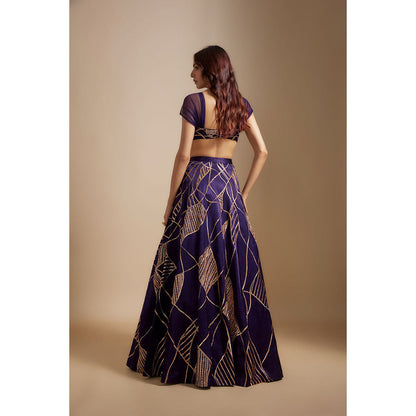 Masumi Mewawalla Deep Purple Embroidered Lehenga with Blouse and Dupatta (Set of 3)