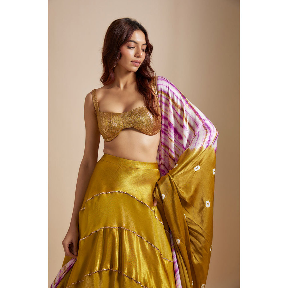 Masumi Mewawalla Mustard Lehenga with Embroidered Blouse and Dupatta (Set of 3)