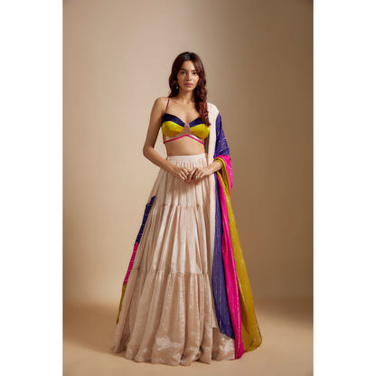 Masumi Mewawalla Beige Tissue Lehenga with Blouse and Dupatta (Set of 3)