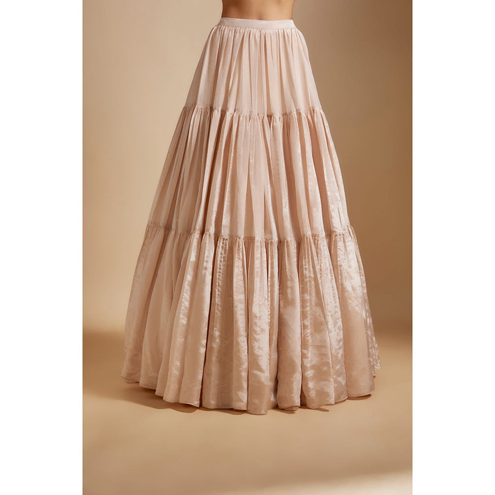 Masumi Mewawalla Beige Tissue Lehenga with Blouse and Dupatta (Set of 3)