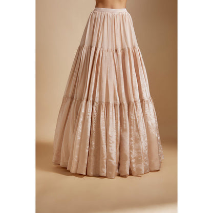 Masumi Mewawalla Beige Tissue Lehenga with Blouse and Dupatta (Set of 3)