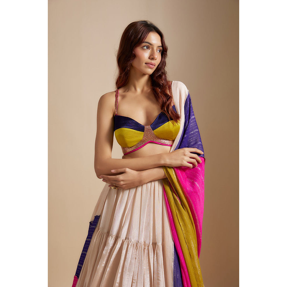 Masumi Mewawalla Beige Tissue Lehenga with Blouse and Dupatta (Set of 3)