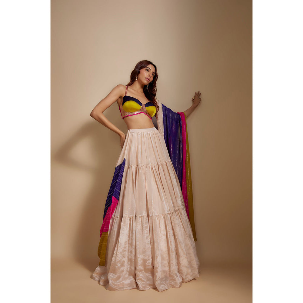 Masumi Mewawalla Beige Tissue Lehenga with Blouse and Dupatta (Set of 3)