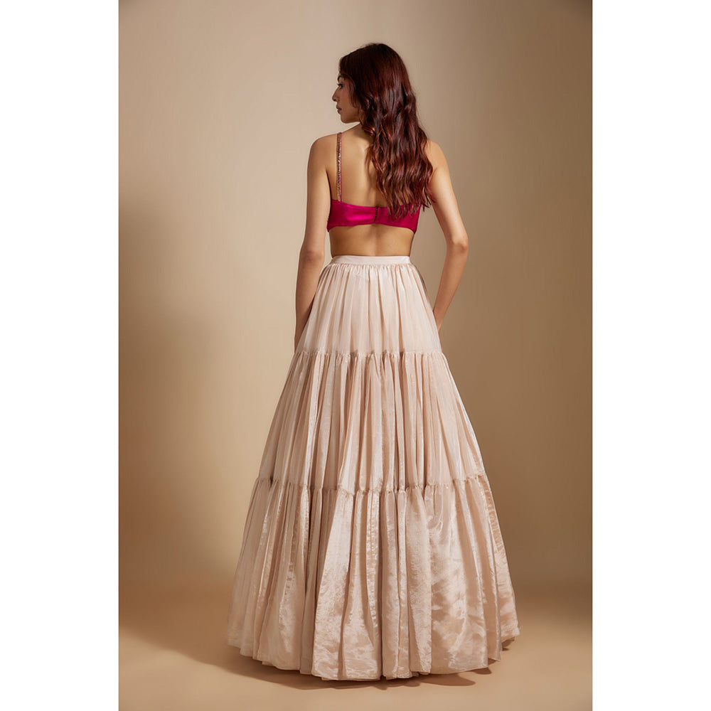 Masumi Mewawalla Beige Tissue Lehenga with Blouse and Dupatta (Set of 3)