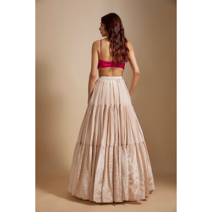 Masumi Mewawalla Beige Tissue Lehenga with Blouse and Dupatta (Set of 3)