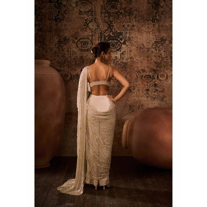 Masumi Mewawalla Chikoo Embellished Pre Drape Saree with Stitched Blouse