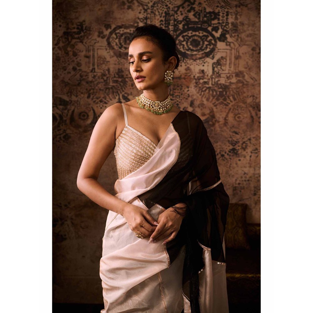 Masumi Mewawalla Multicolor Embellished Pre Drape Saree with Stitched Blouse