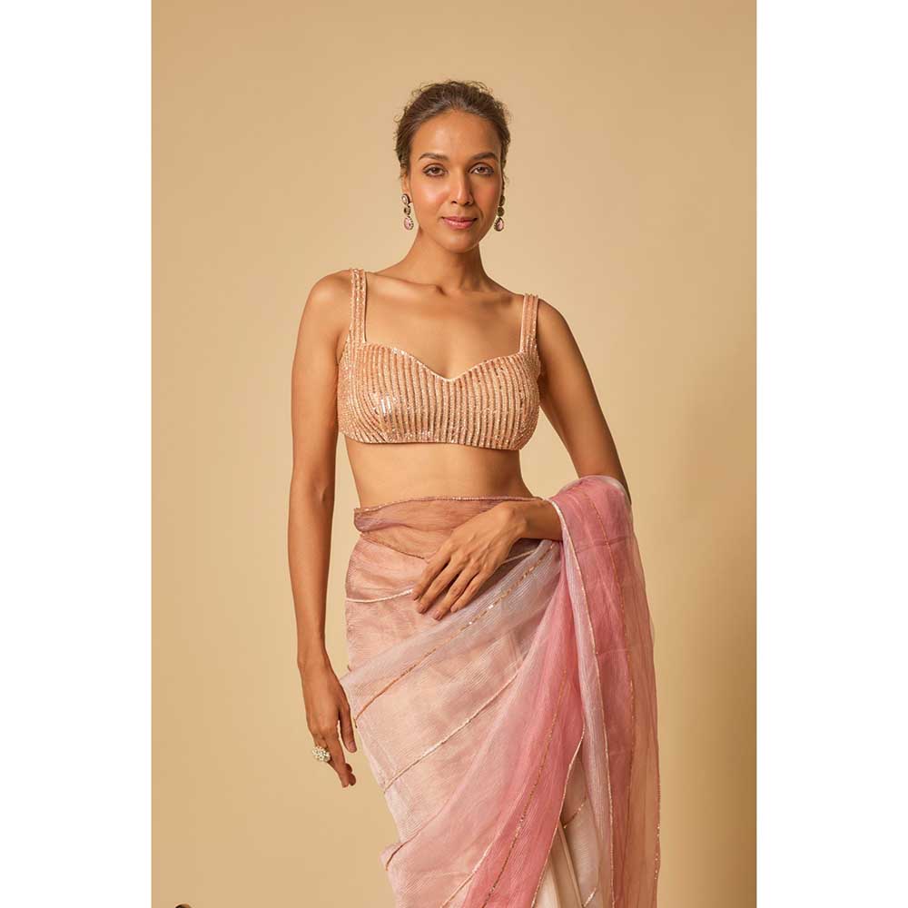 Masumi Mewawalla Tissue Embroidered Pre Draped Saree and Stitched Blouse