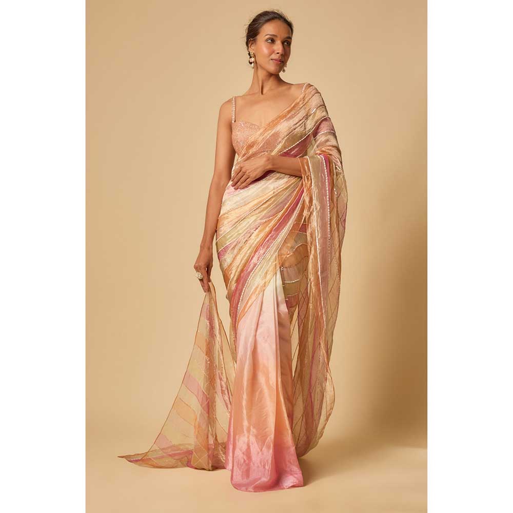 Masumi Mewawalla Multi Colour Embroidered Tissue Pre Draped Saree and Stitched Blouse